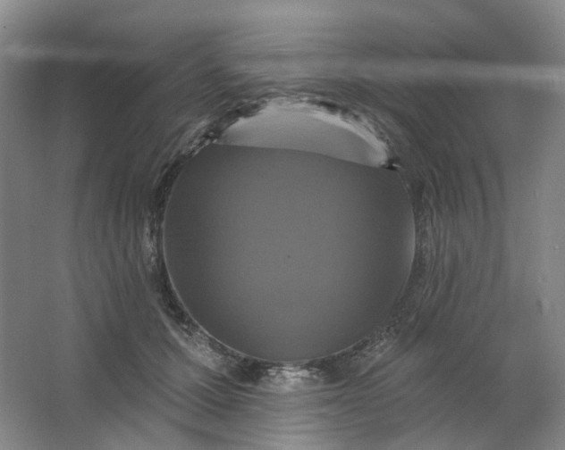 X0000062790607200601051047