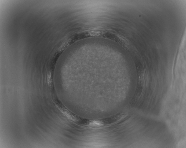 X0000062790610200601051047