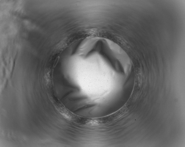 X0000062790611200601051047