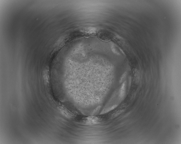 X0000062790612200601051047