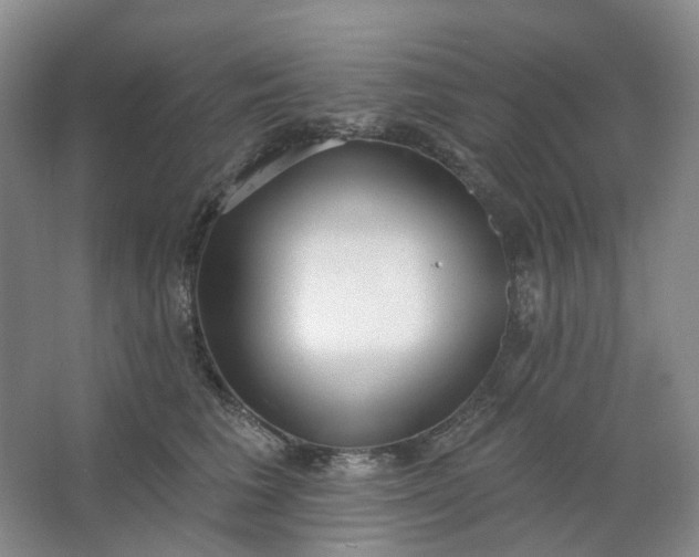 X0000062790613200601051047