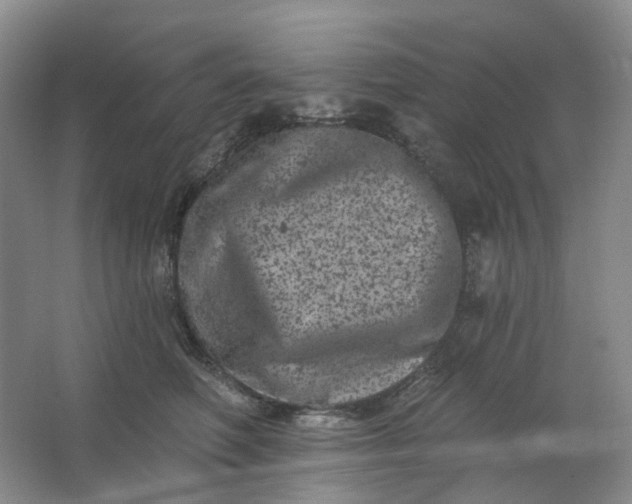 X0000062790614200601051047