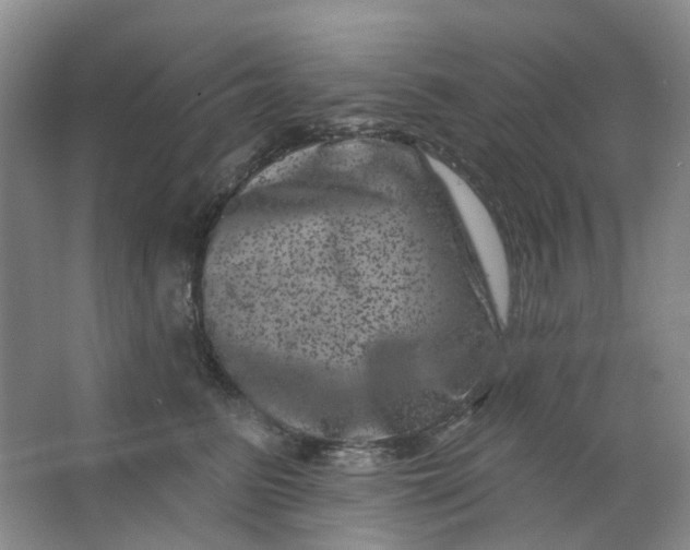 X0000062790615200601051047