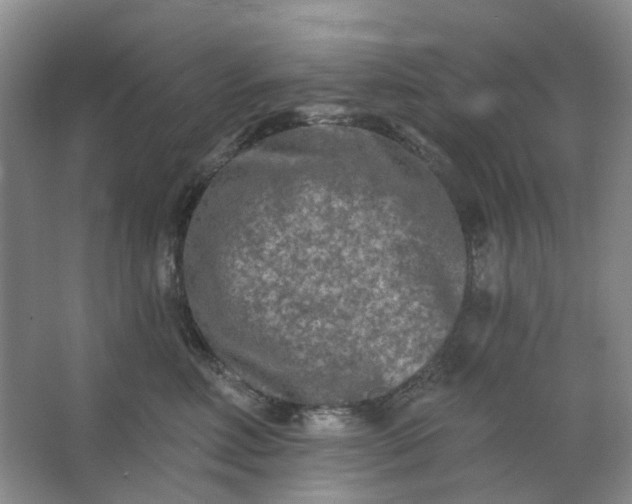 X0000062790618200601051047