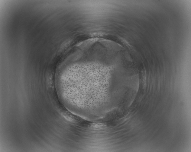 X0000062790619200601051047