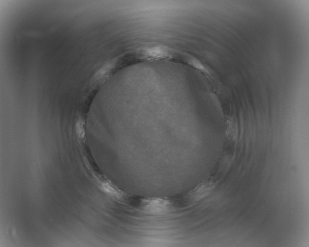 X0000062790621200601051047