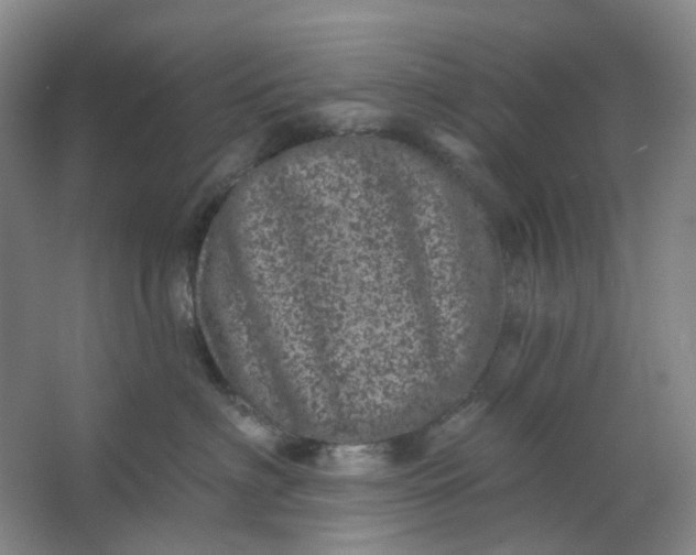 X0000062790622200601051047