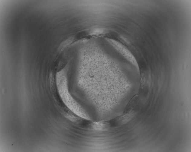 X0000062790623200601051047