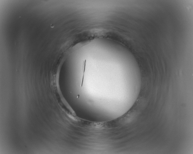 X0000062790624200601051047