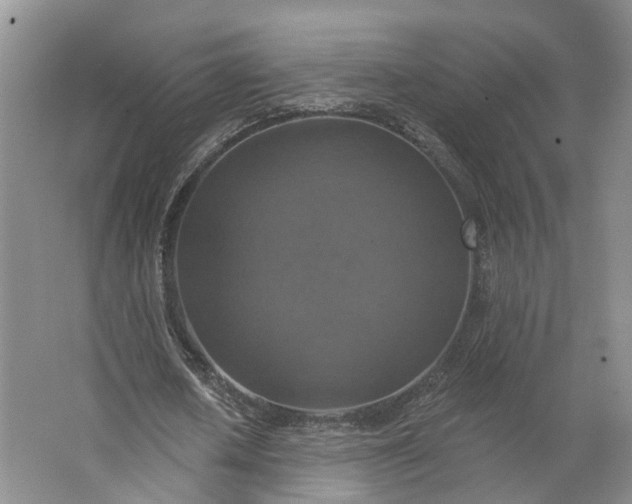 X0000062790626200601051046