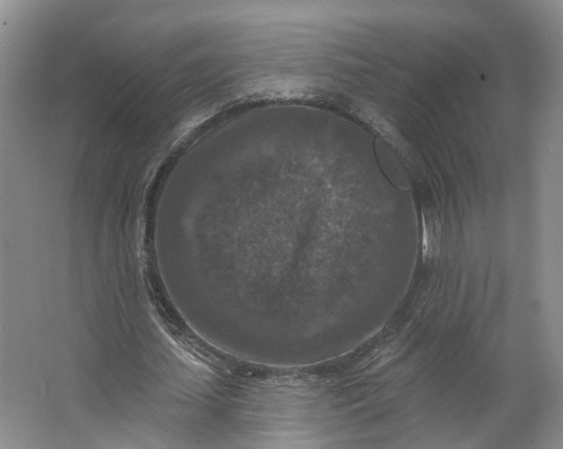 X0000062790627200601051046