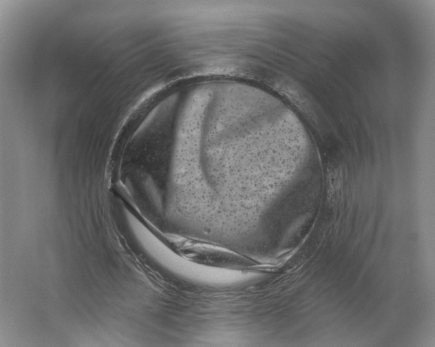 X0000062790628200601051046