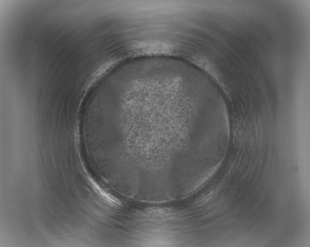 X0000062790629200601051046