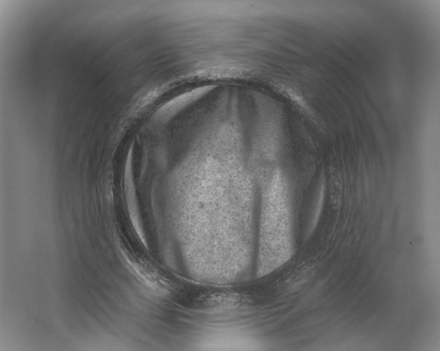 X0000062790631200601051046