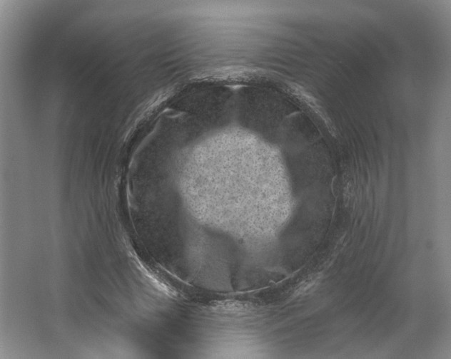 X0000062790633200601051046