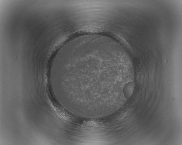 X0000062790635200601051046