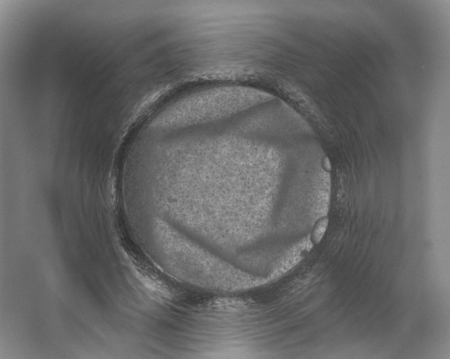 X0000062790636200601051046