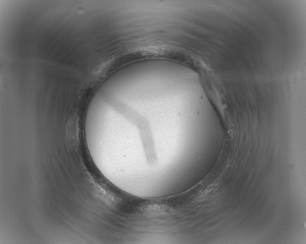 X0000062790637200601051046