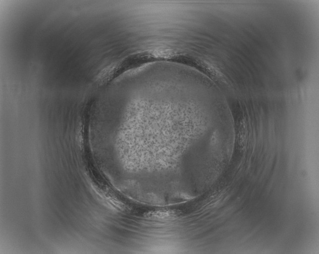 X0000062790639200601051047