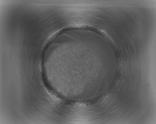 X0000062790640200601051047