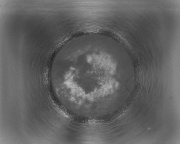 X0000062790641200601051047