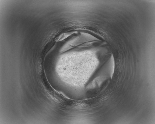 X0000062790642200601051047