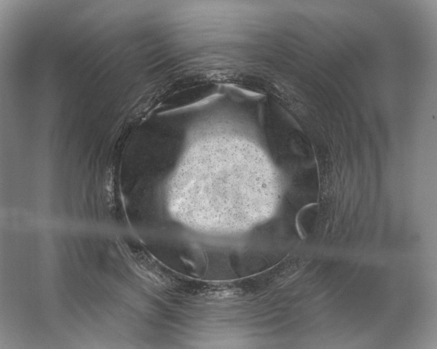 X0000062790646200601051047