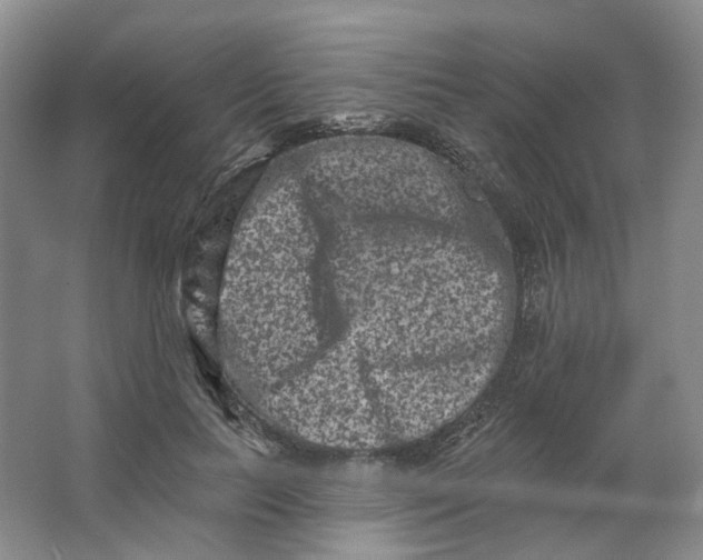 X0000062790647200601051047