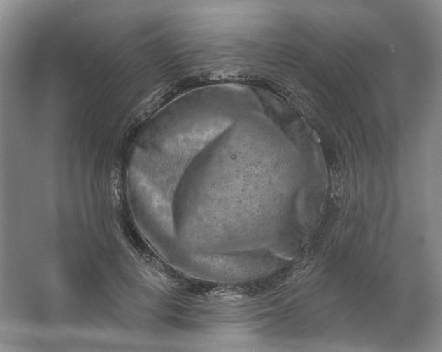 X0000062790648200601051047