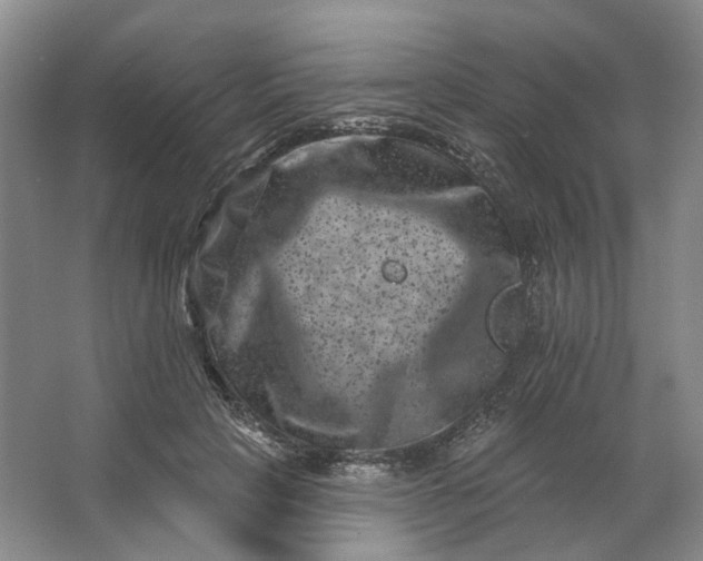 X0000062790649200601051047