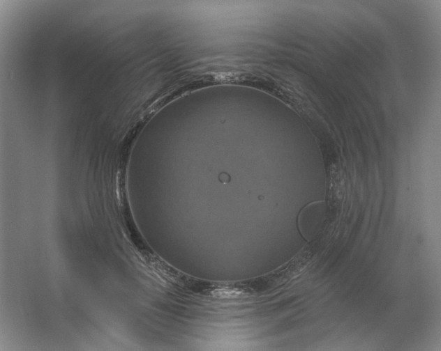 X0000062790650200601051047