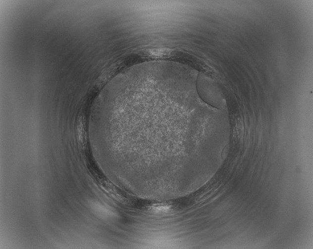 X0000062790651200601051047