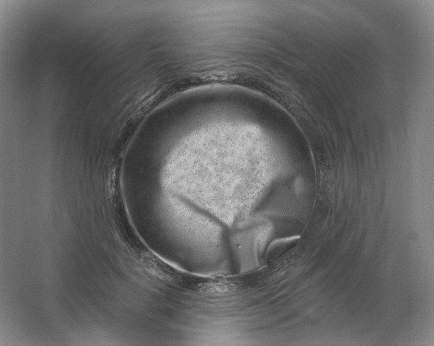 X0000062790652200601051047