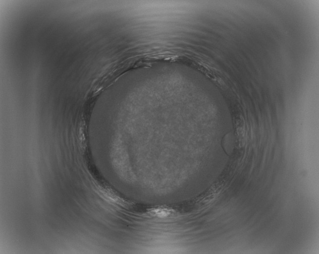 X0000062790654200601051047