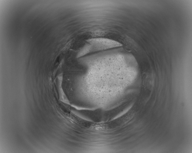 X0000062790655200601051047