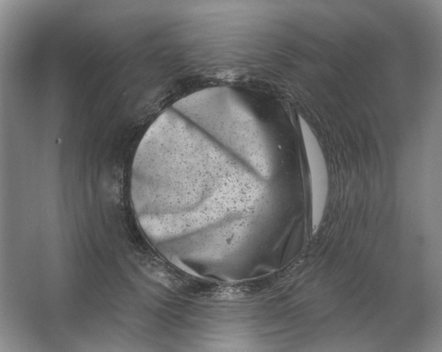 X0000062790656200601051047