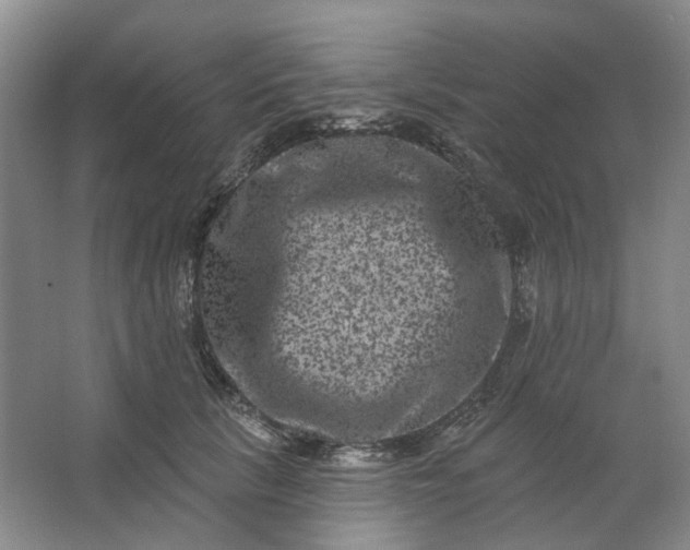 X0000062790657200601051047