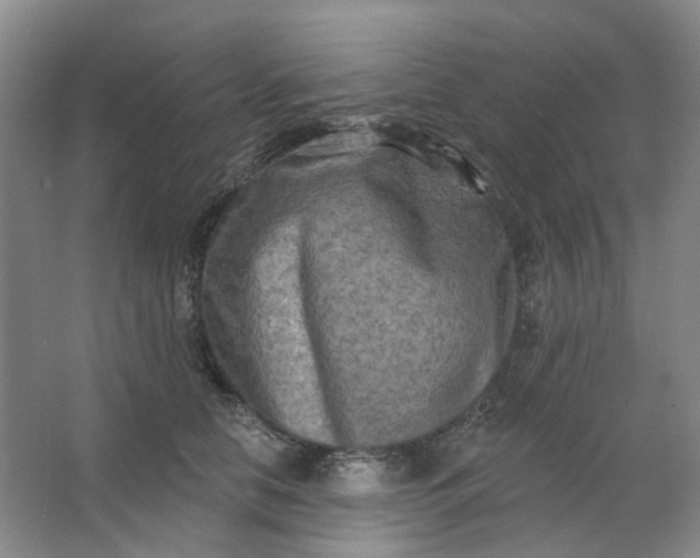 X0000062790658200601051047