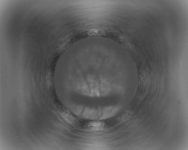 X0000062790659200601051047