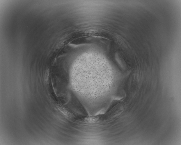 X0000062790660200601051047