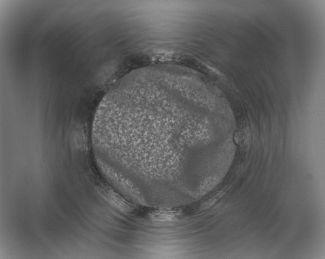 X0000062790661200601051047