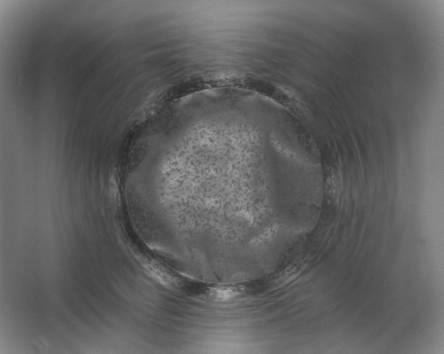 X0000062790662200601051047