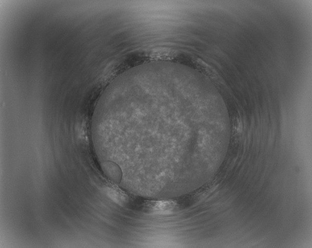 X0000062790663200601051047