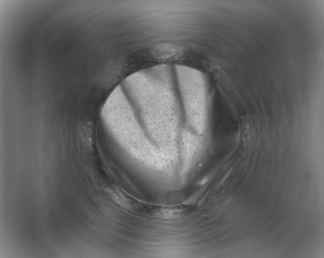 X0000062790664200601051047