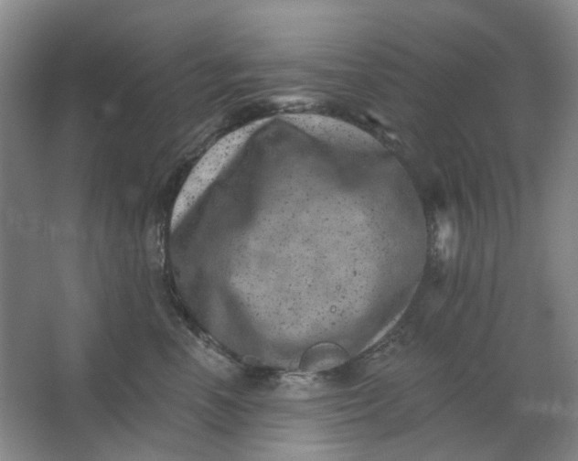 X0000062790666200601051047