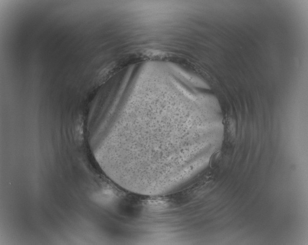 X0000062790668200601051047