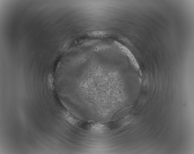 X0000062790669200601051047