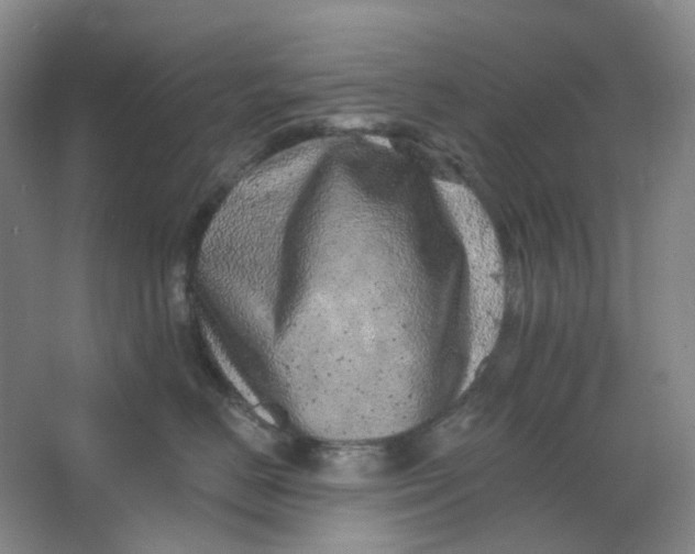 X0000062790670200601051047