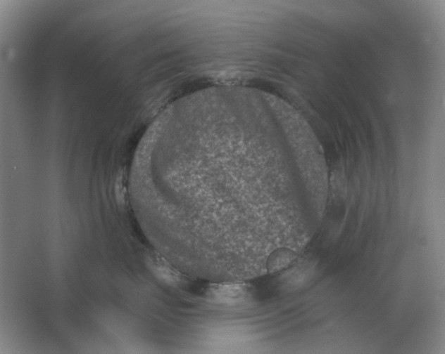 X0000062790671200601051047