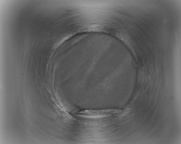 X0000062790673200601051046